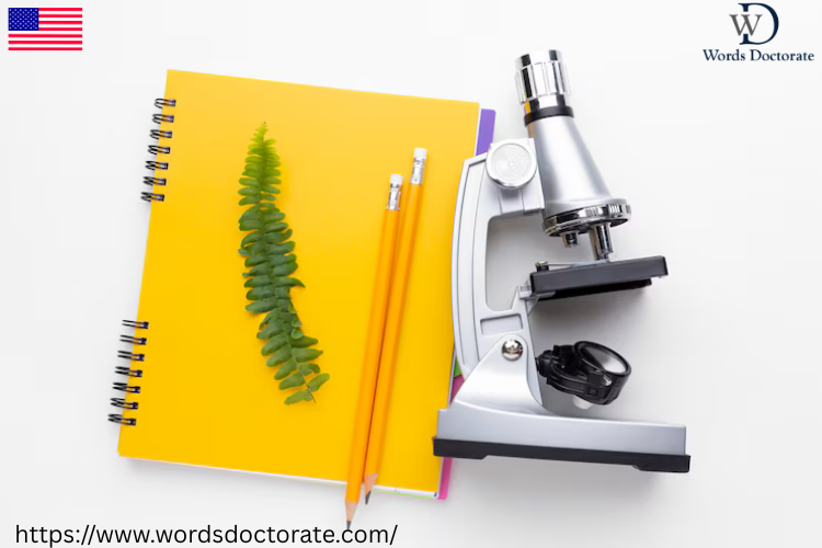 Expert Nano Particles Paper Writing Services in Atlanta